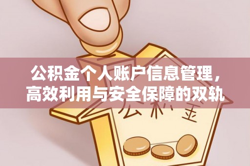 顺昌公积金个人账户信息管理，高效利用与安全保障的双轨并行