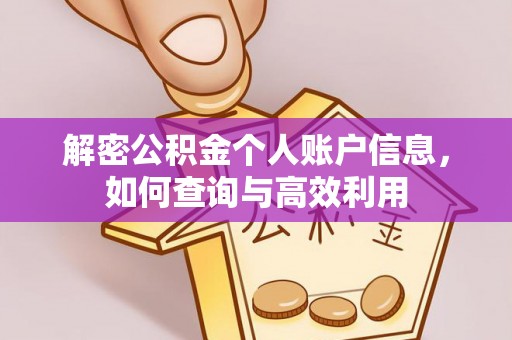 顺昌解密公积金个人账户信息，如何查询与高效利用