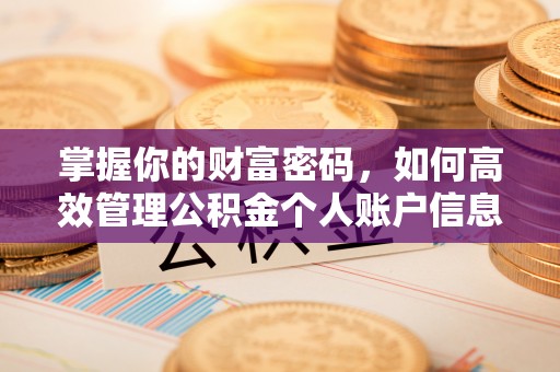 顺昌掌握你的财富密码，如何高效管理公积金个人账户信息