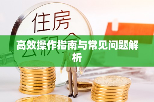 顺昌高效操作指南与常见问题解析