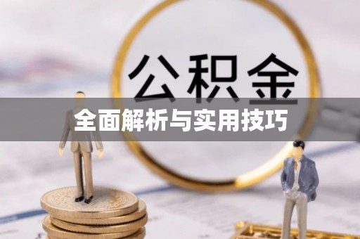 顺昌全面解析与实用技巧
