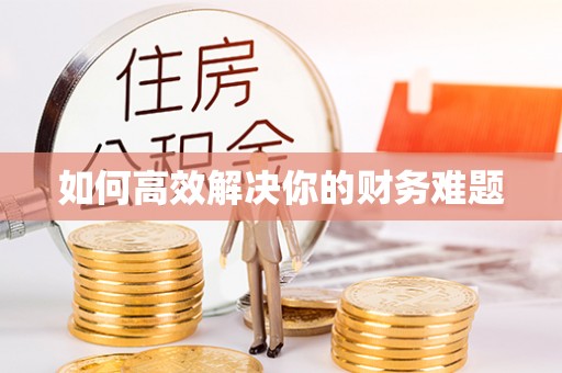 顺昌如何高效解决你的财务难题