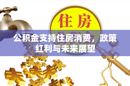 顺昌公积金支持住房消费，政策红利与未来展望