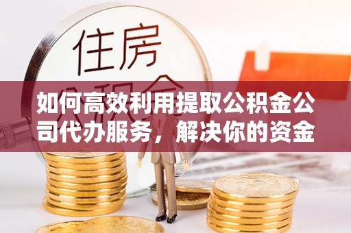 顺昌如何高效利用提取公积金公司代办服务，解决你的资金难题