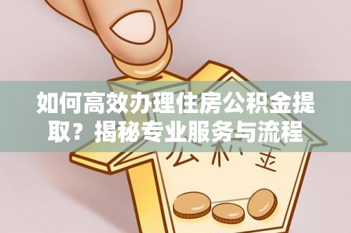 顺昌如何高效办理住房公积金提取？揭秘专业服务与流程