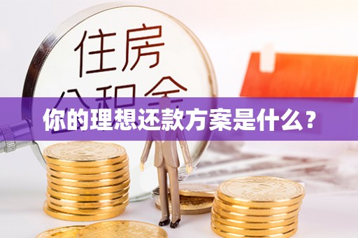 顺昌你的理想还款方案是什么？