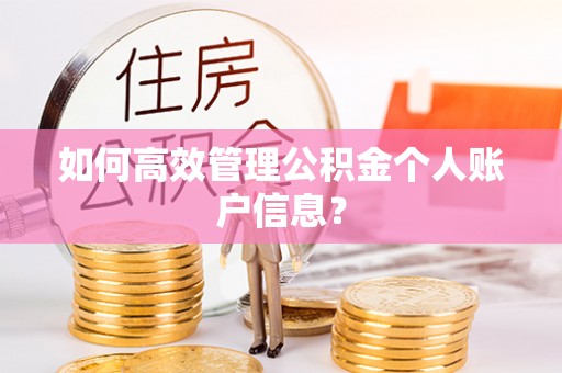 顺昌如何高效管理公积金个人账户信息？