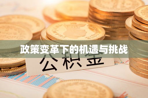 顺昌政策变革下的机遇与挑战