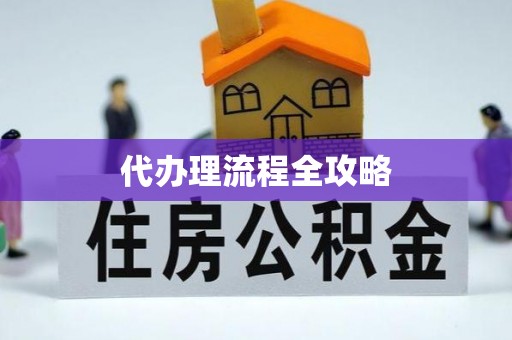 顺昌代办理流程全攻略