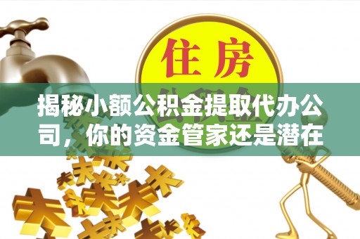 顺昌揭秘小额公积金提取代办公司，你的资金管家还是潜在陷阱？