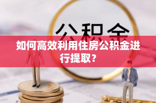 顺昌如何高效利用住房公积金进行提取？