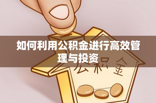 顺昌如何利用公积金进行高效管理与投资