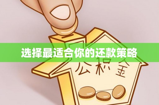 顺昌选择最适合你的还款策略