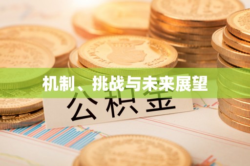 顺昌机制、挑战与未来展望