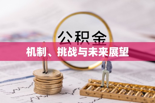 顺昌机制、挑战与未来展望